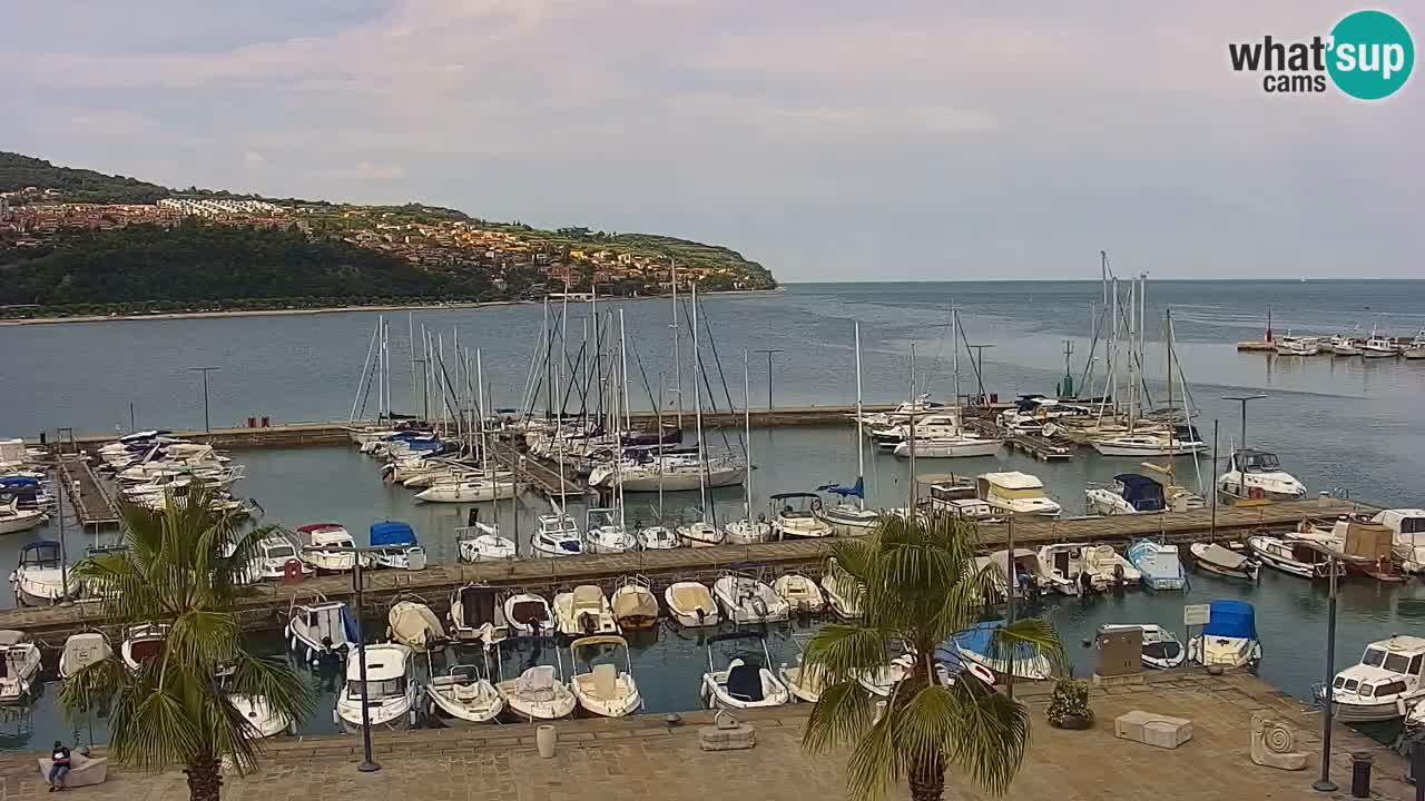 Webcam Koper – Panorama de la marina et de la promenade depuis le Grand Hotel Koper