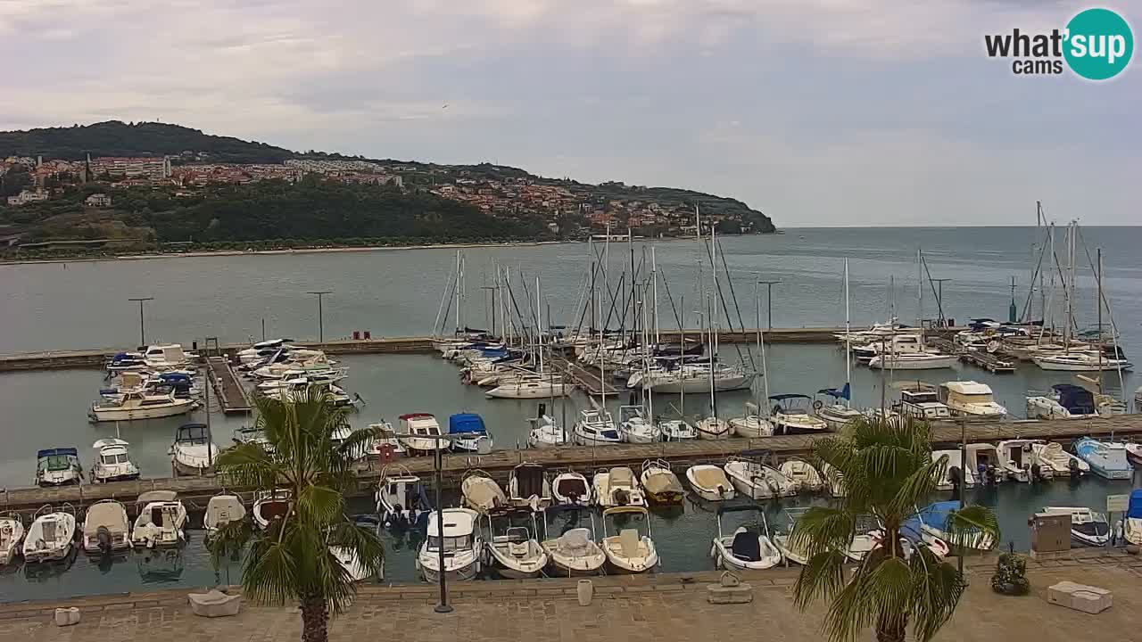 Webcam Koper – Panorama des Jachthafens und der Promenade vom Hotel Grand Koper