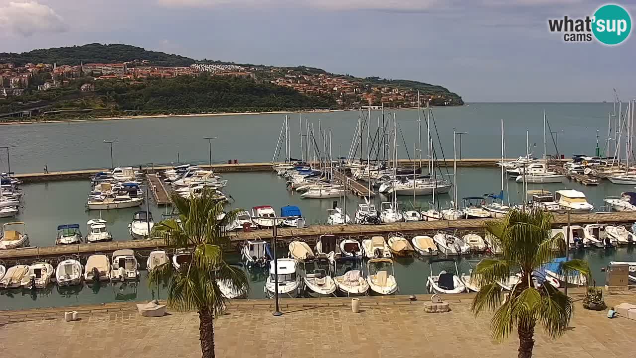Webcam Koper – Panorama des Jachthafens und der Promenade vom Hotel Grand Koper
