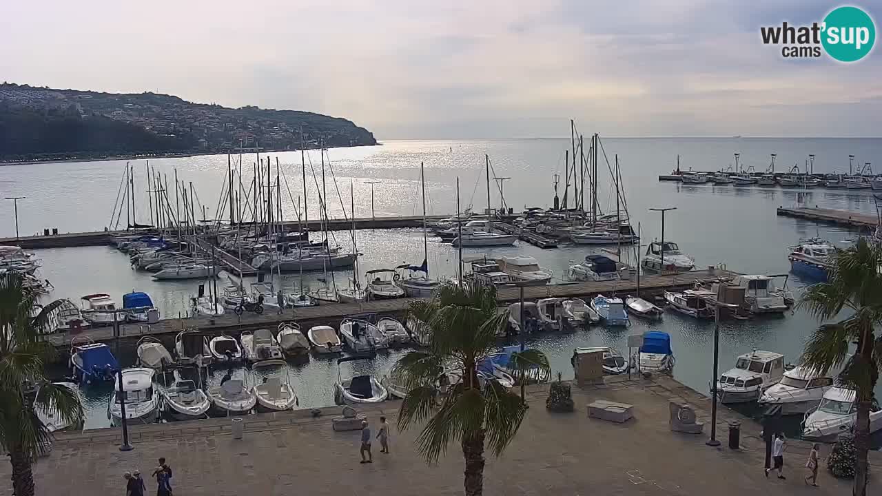 Luka Kopar uživo web kamera – Turistički terminal i teretna luka – Slovenija
