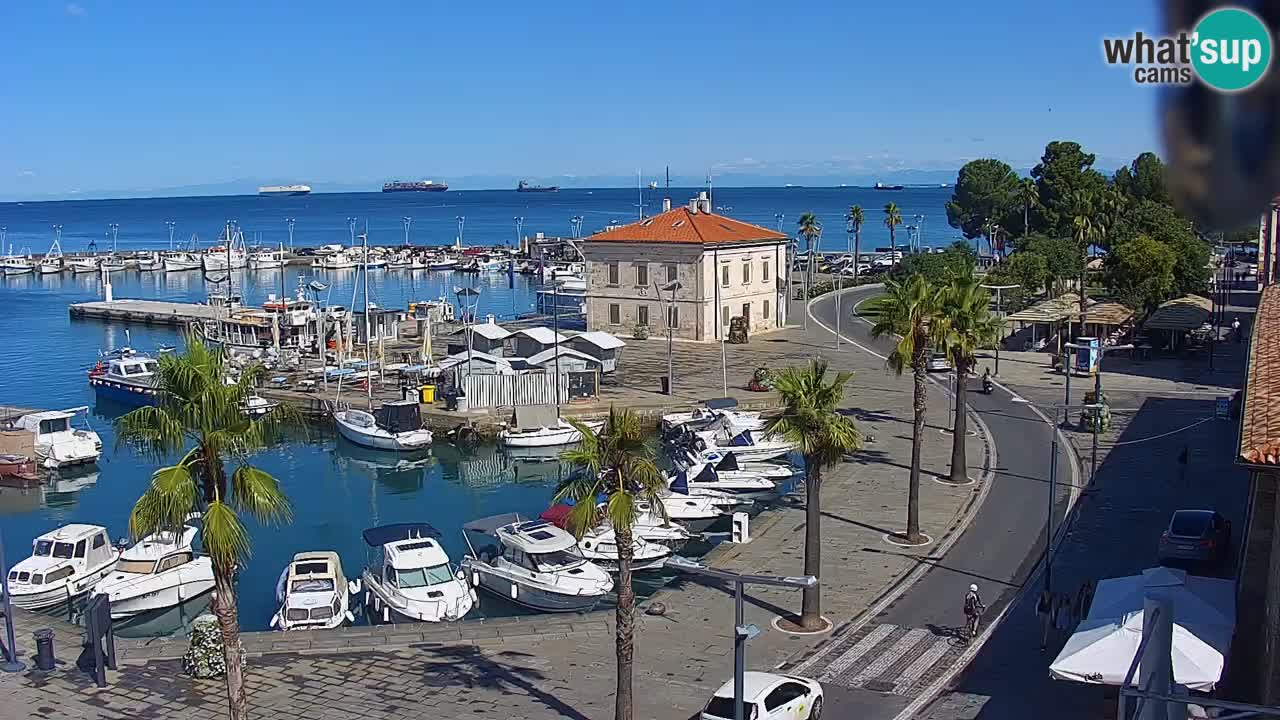 Livecam Koper – Ukmarjev trg