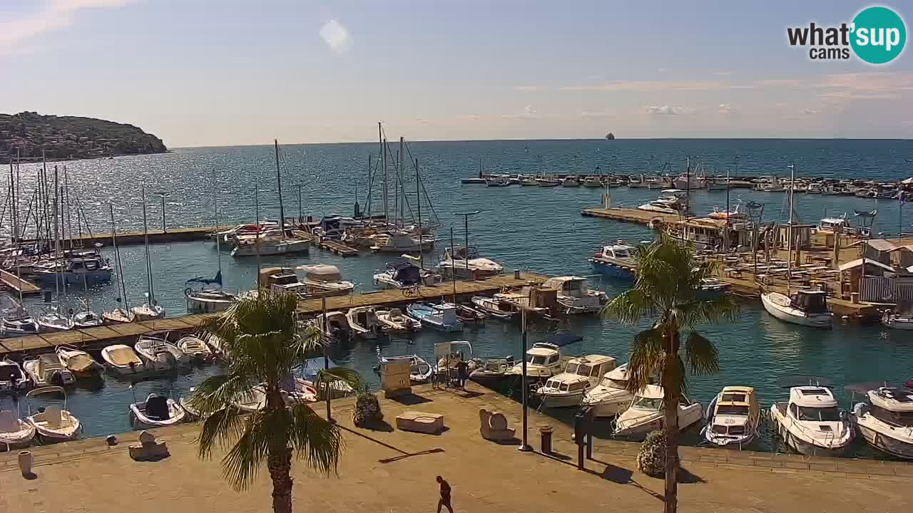 Camera en Vivo Koper – Ukmarjev trg