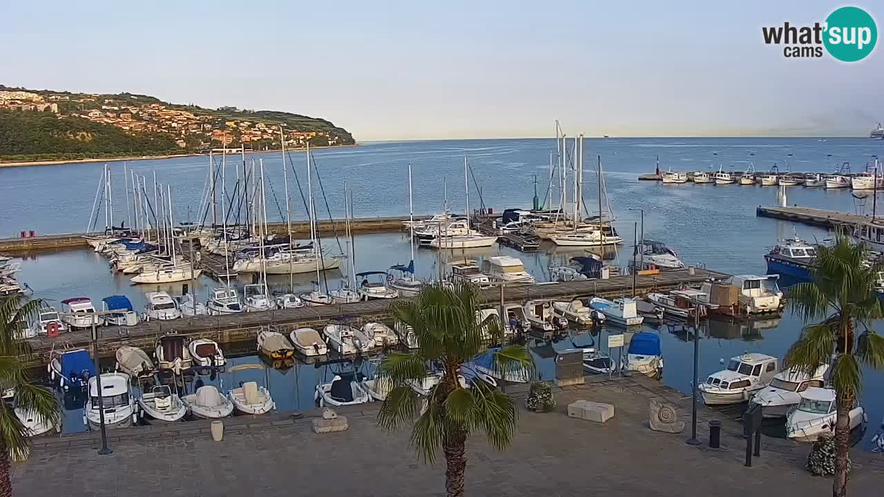 Spletna kamera Koper – Panorama na marino in promenado s Hotela Grand Koper