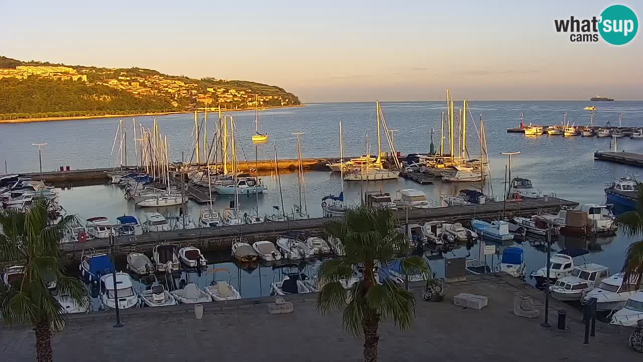 Web kamera Koper – marina i promenada – hotel Grand Koper