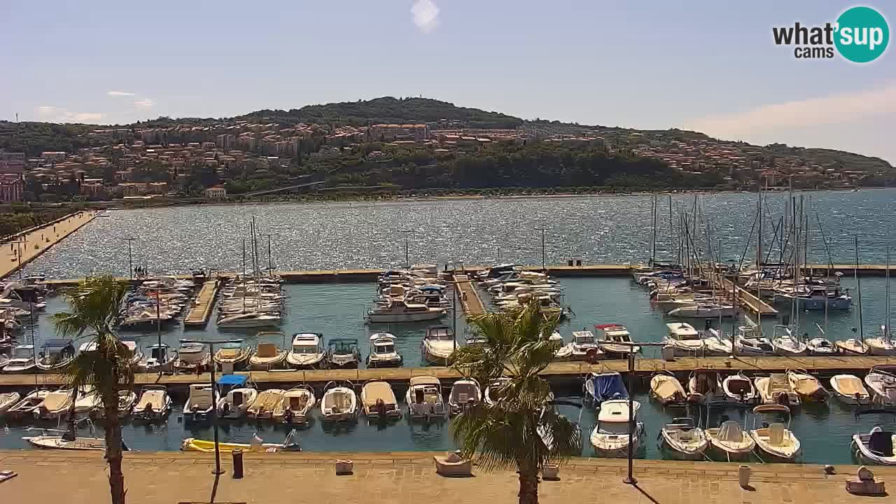 Webcam Koper – Panorama des Jachthafens und der Promenade vom Hotel Grand Koper