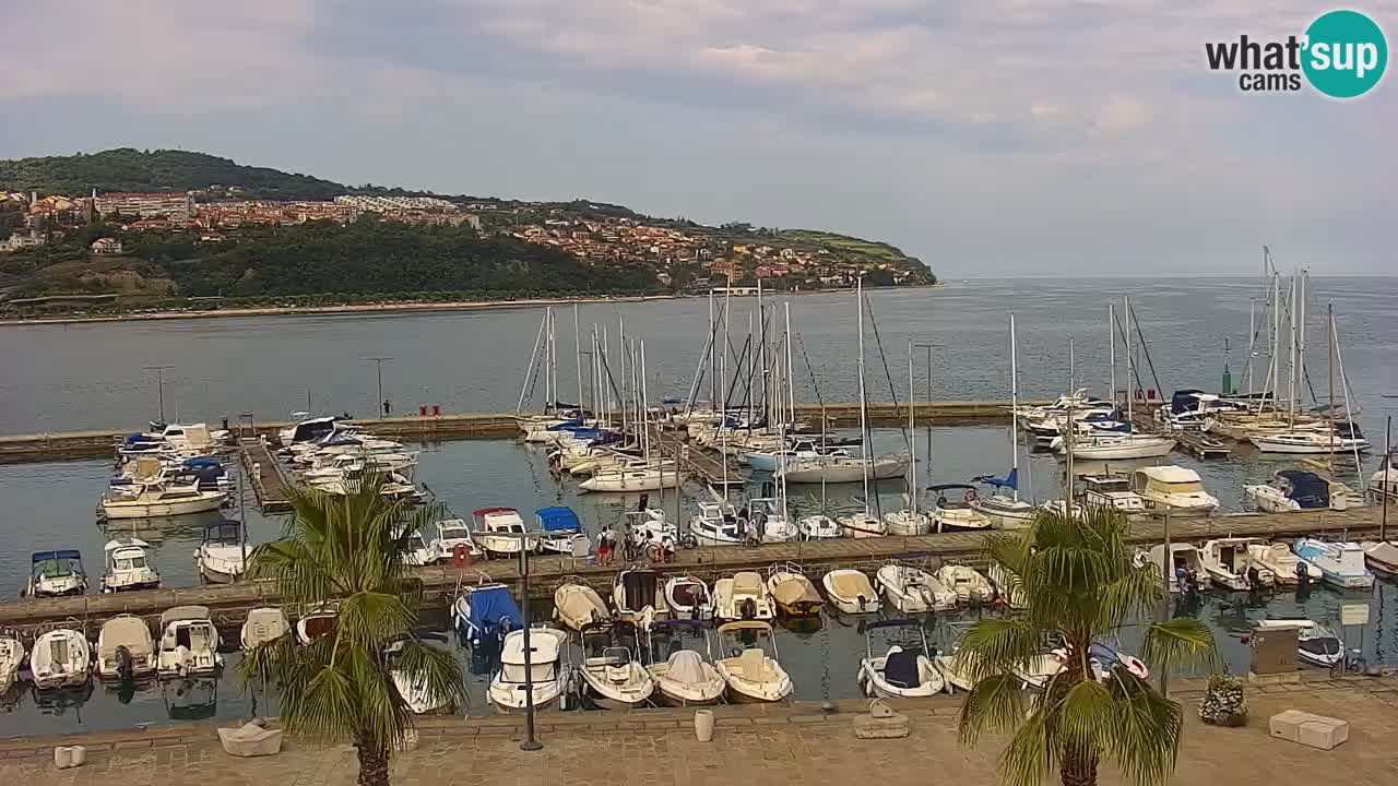 The Port of Koper live webcam – cruise and cargo port – Slovenia
