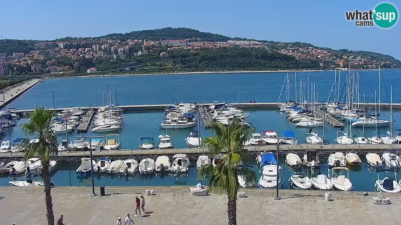 Livecam Koper – Ukmarjev trg