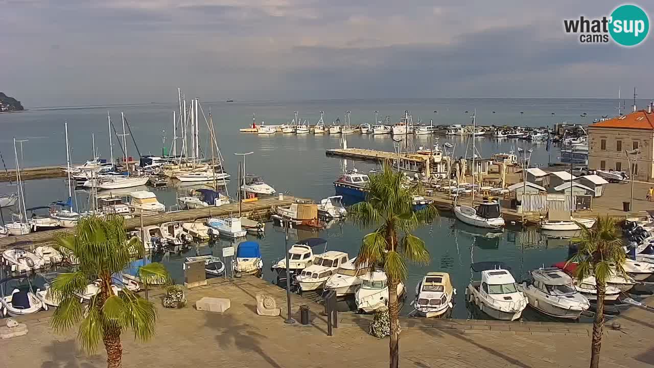 The Port of Koper live webcam – cruise and cargo port – Slovenia