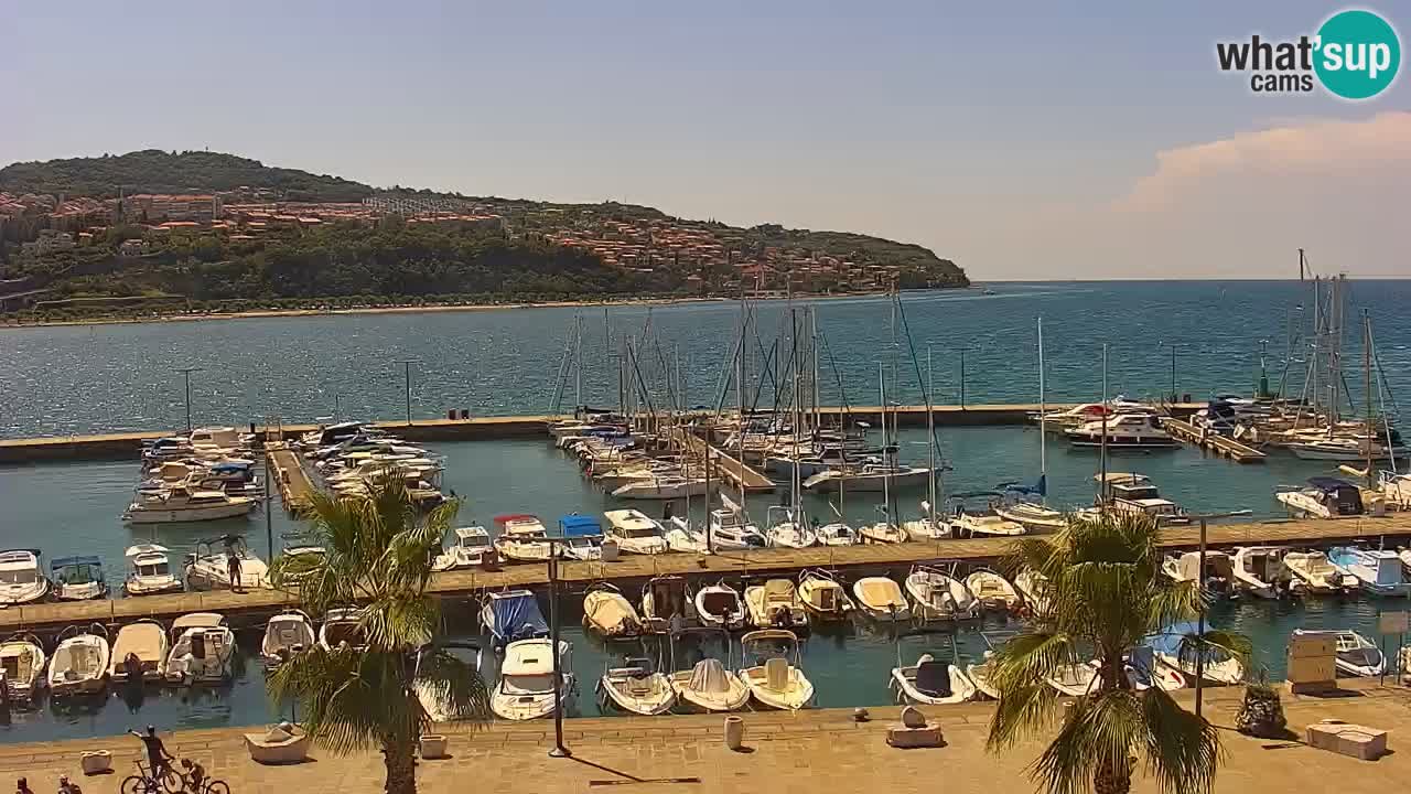 Webcam Koper – Panorama of the marina and promenade from the Grand Hotel Koper