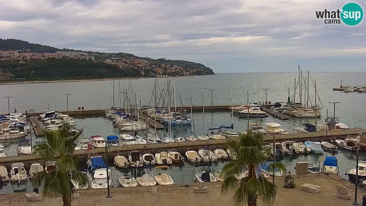 Webcam Koper – Panorama of the marina and promenade from the Grand Hotel Koper