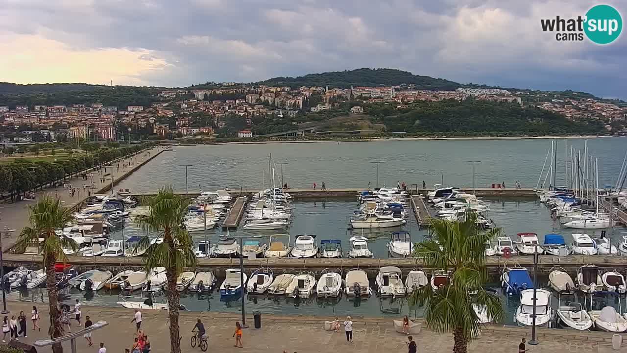 Livecam Koper – Ukmarjev trg