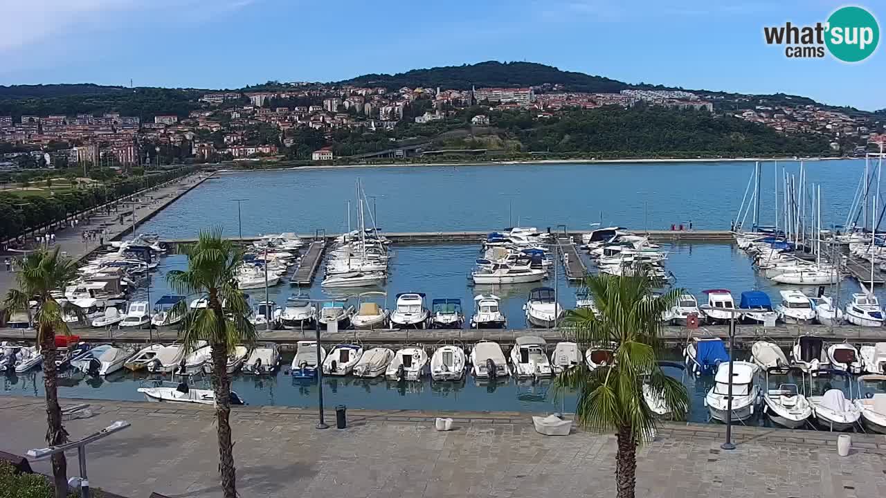 Webcam Capodistria – Piazza Ukmar