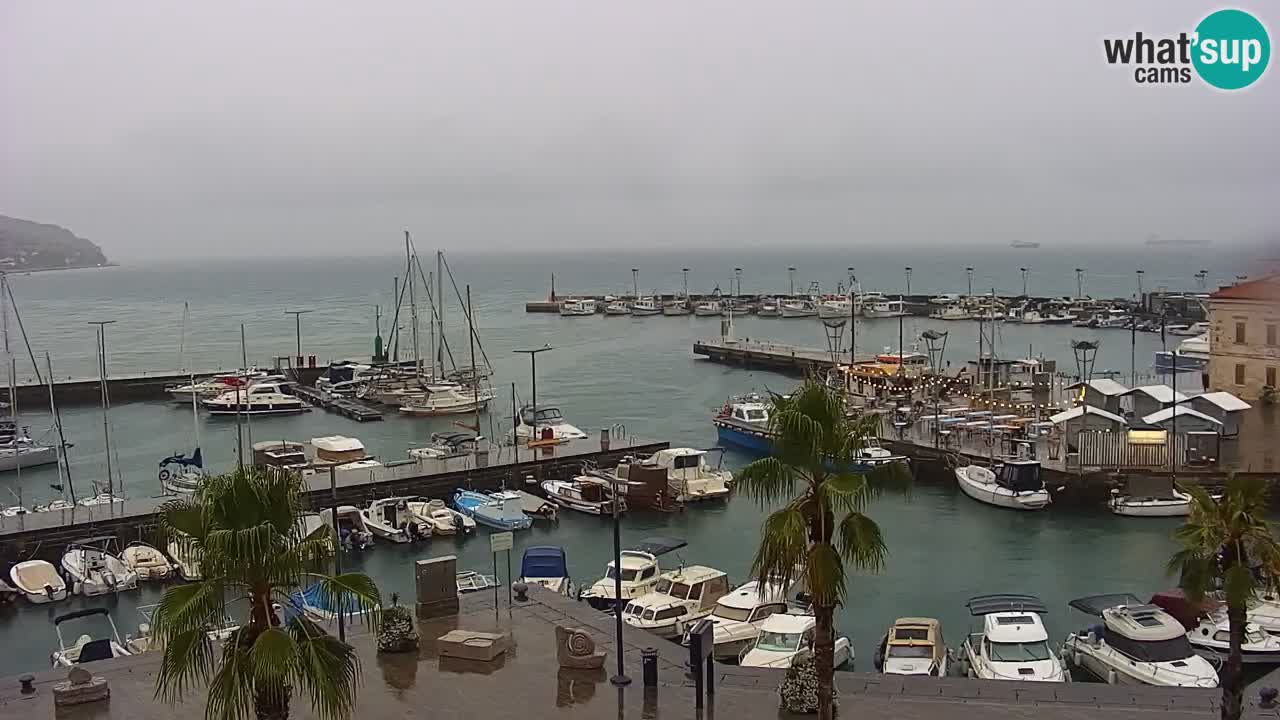 Livecam Koper – Ukmarjev trg