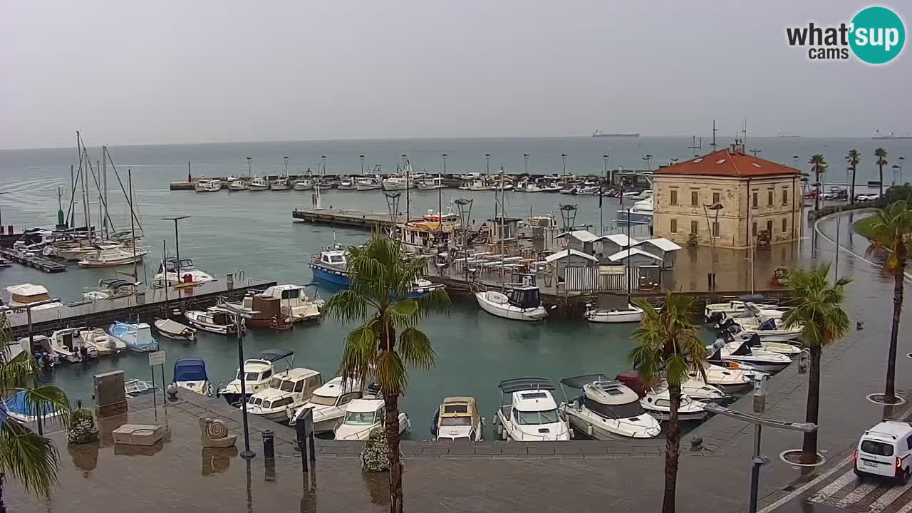 Webcam Koper – Panorama of the marina and promenade from the Grand Hotel Koper