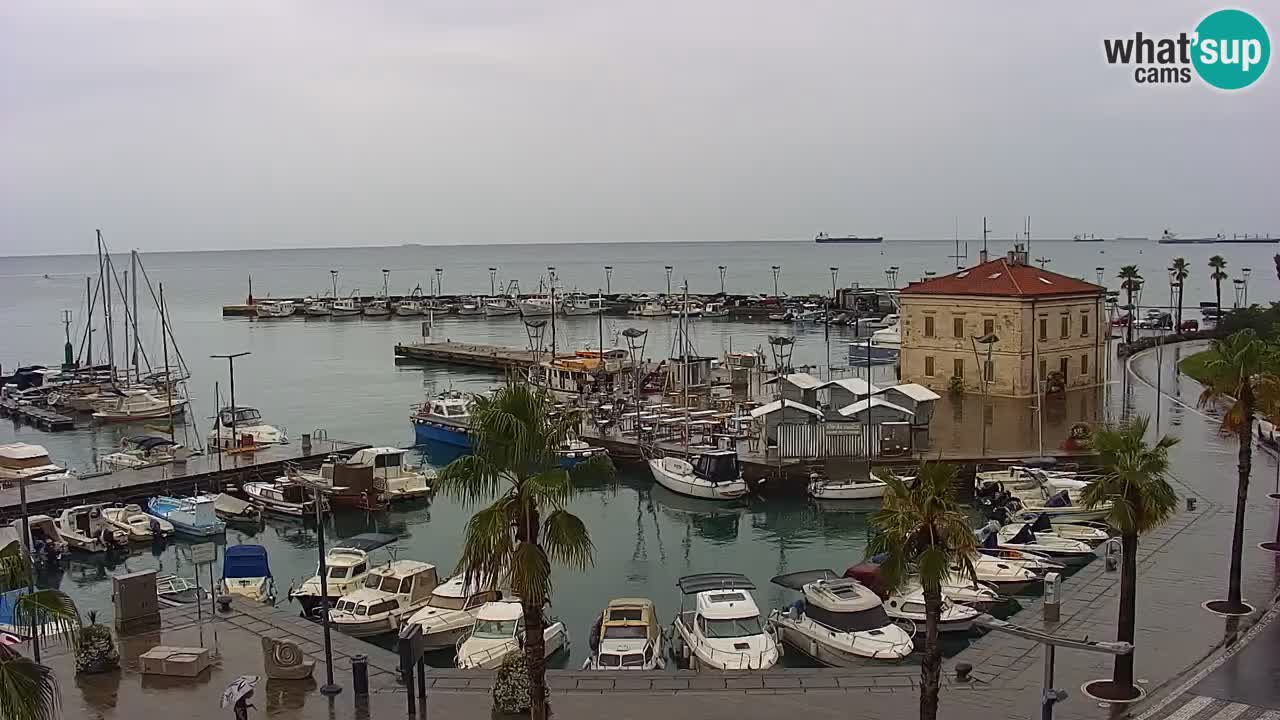Webcam Koper – Panorama of the marina and promenade from the Grand Hotel Koper