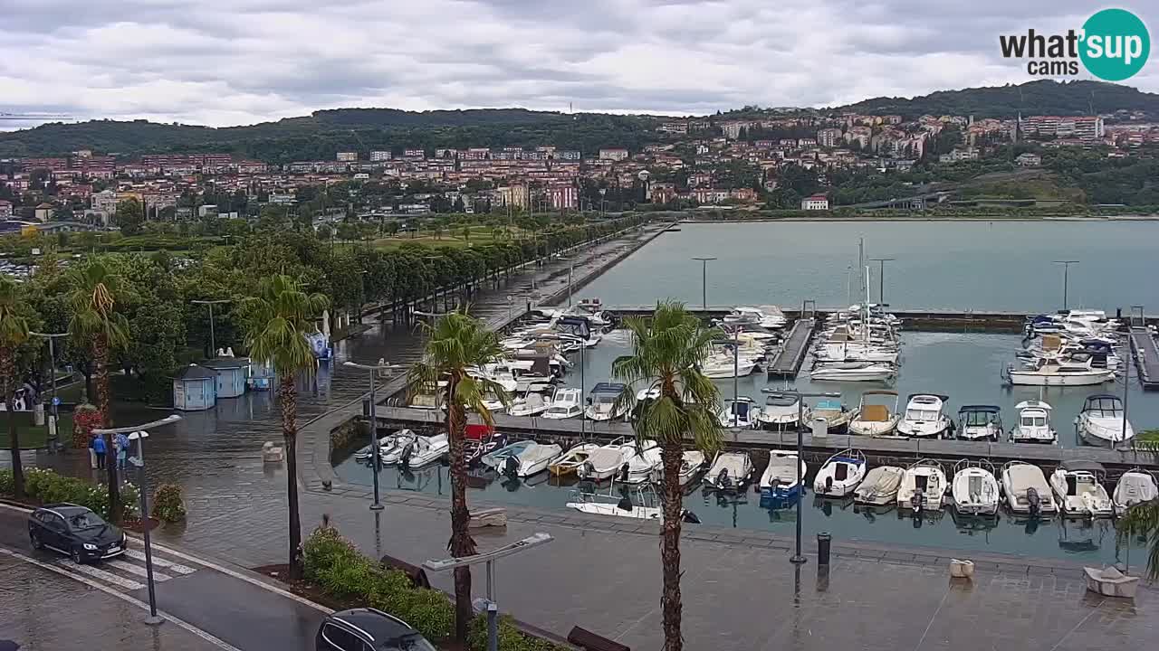 Livecam Koper – Ukmarjev trg