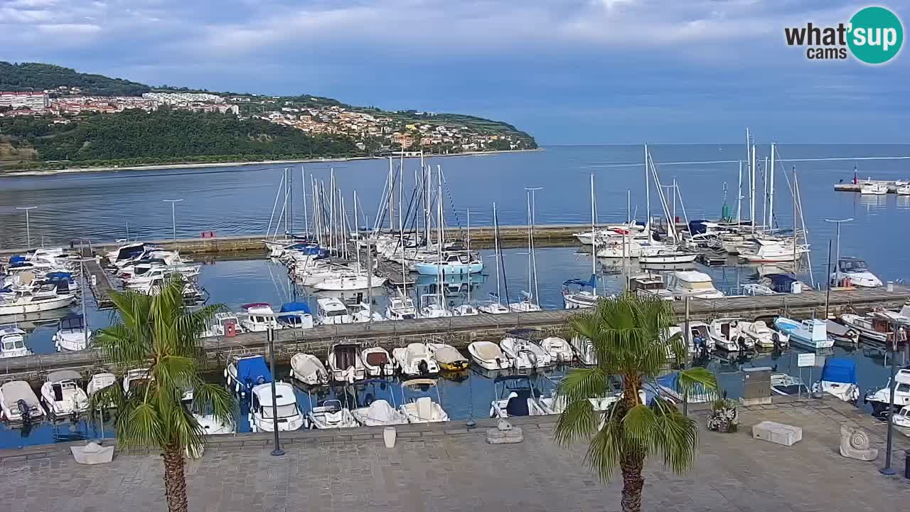 Il porto di Koper – Capodistria live webcam – porto crociere e mercantile – Slovenia