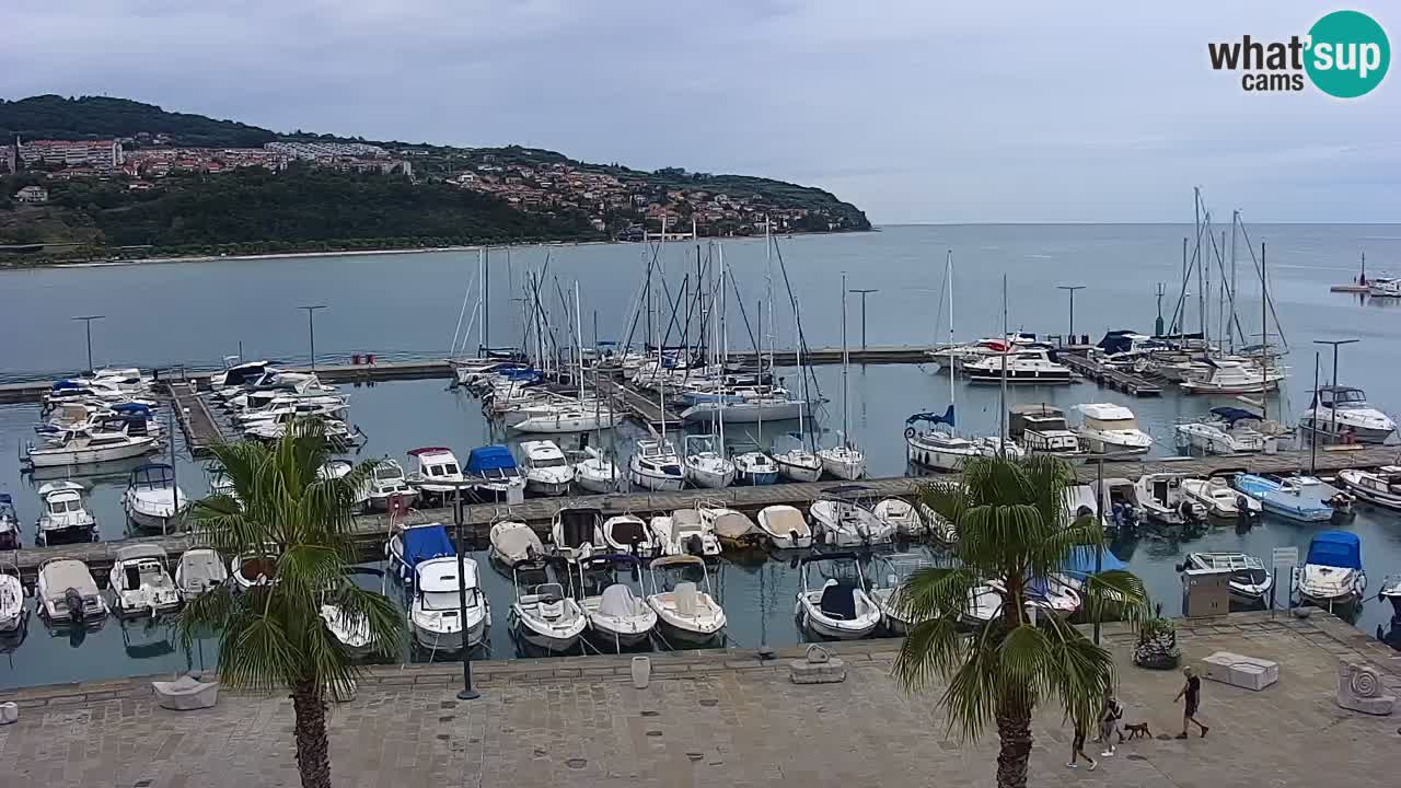 The Port of Koper live webcam – cruise and cargo port – Slovenia