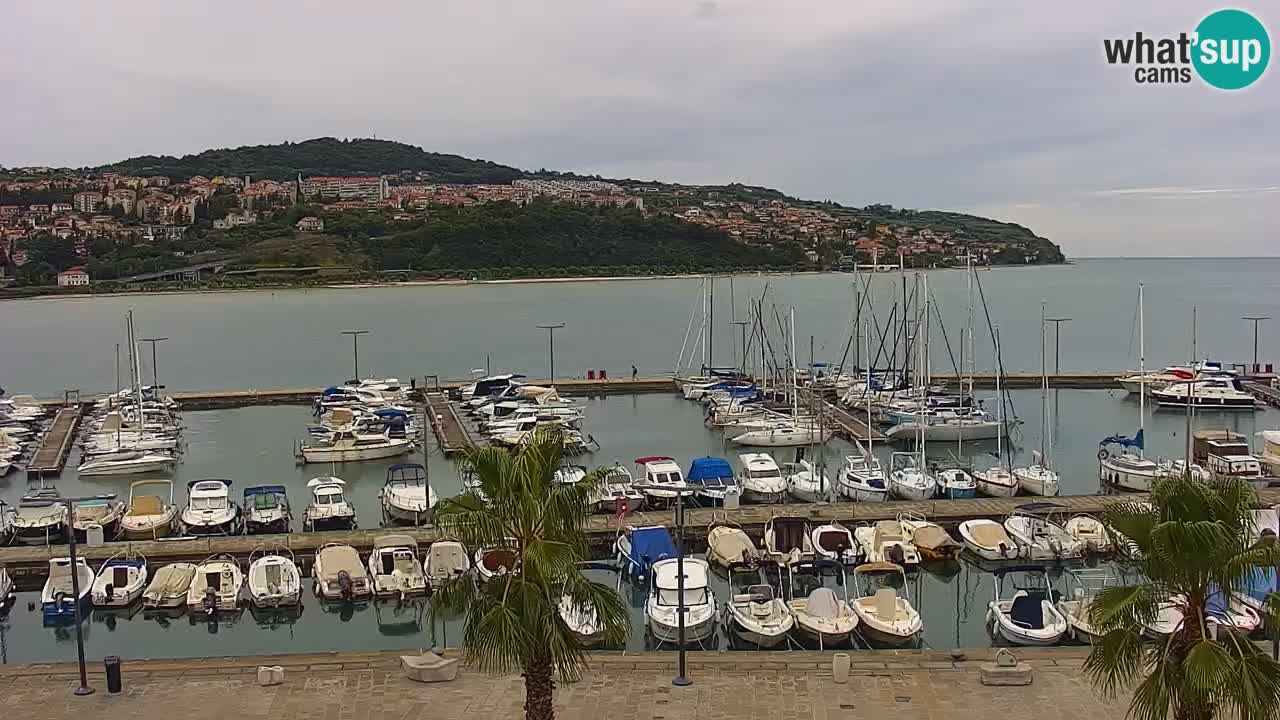 Il porto di Koper – Capodistria live webcam – porto crociere e mercantile – Slovenia