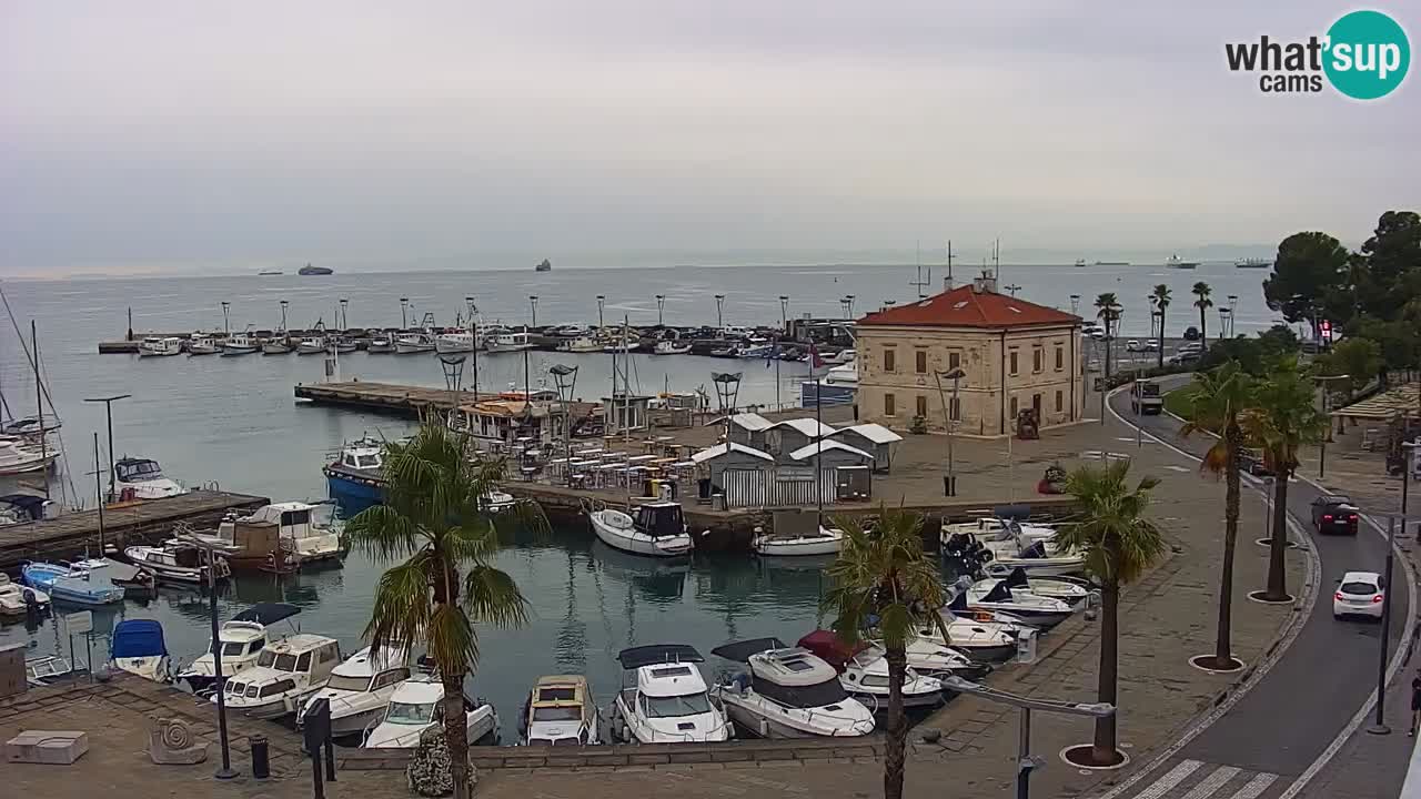 Spletna kamera Koper – Panorama na marino in promenado s Hotela Grand Koper