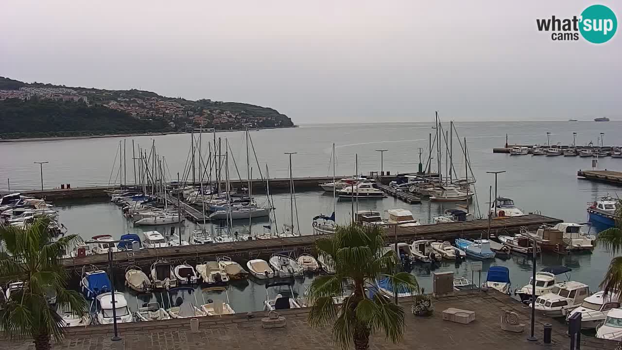 Spletna kamera Koper – Panorama na marino in promenado s Hotela Grand Koper