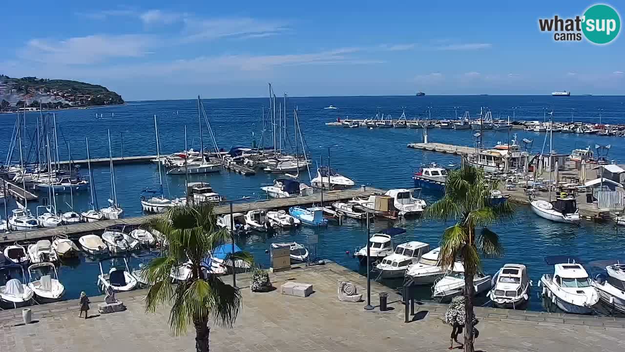 Spletna kamera Koper – Panorama na marino in promenado s Hotela Grand Koper