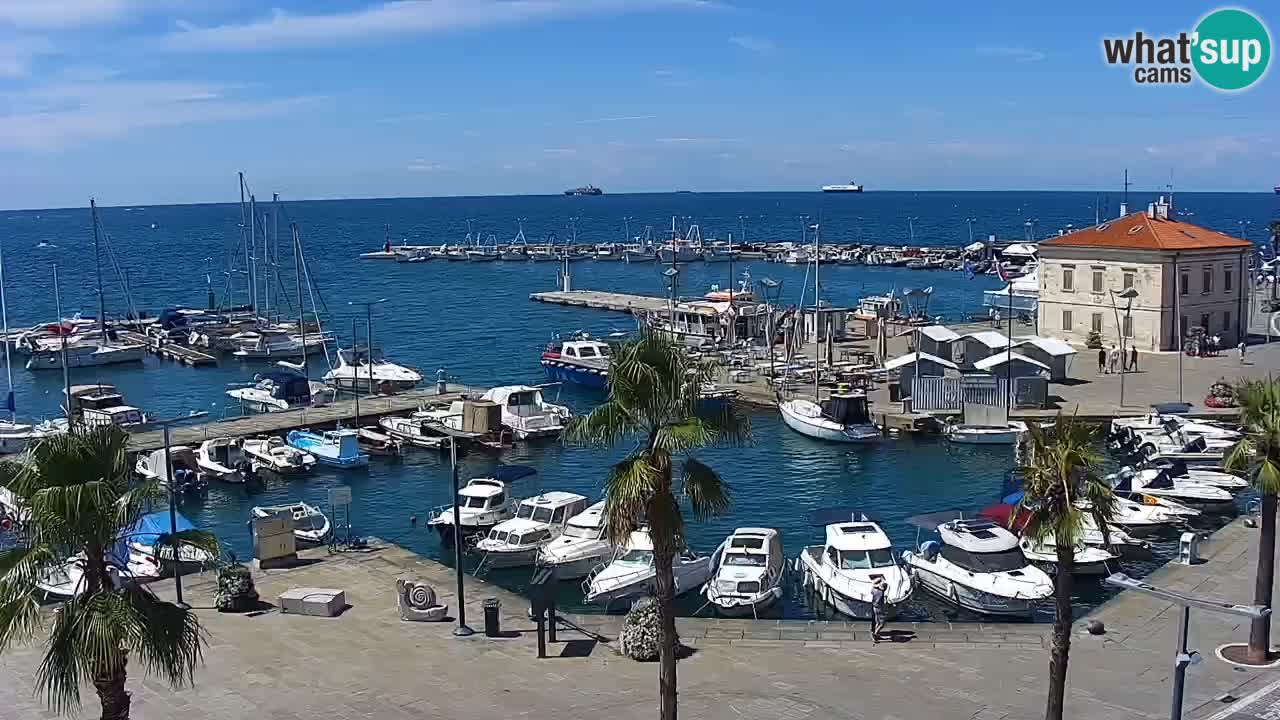 Webcam Koper – Panorama of the marina and promenade from the Grand Hotel Koper