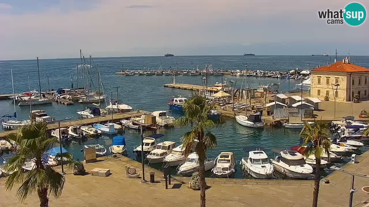 Webcam Koper – Panorama des Jachthafens und der Promenade vom Hotel Grand Koper