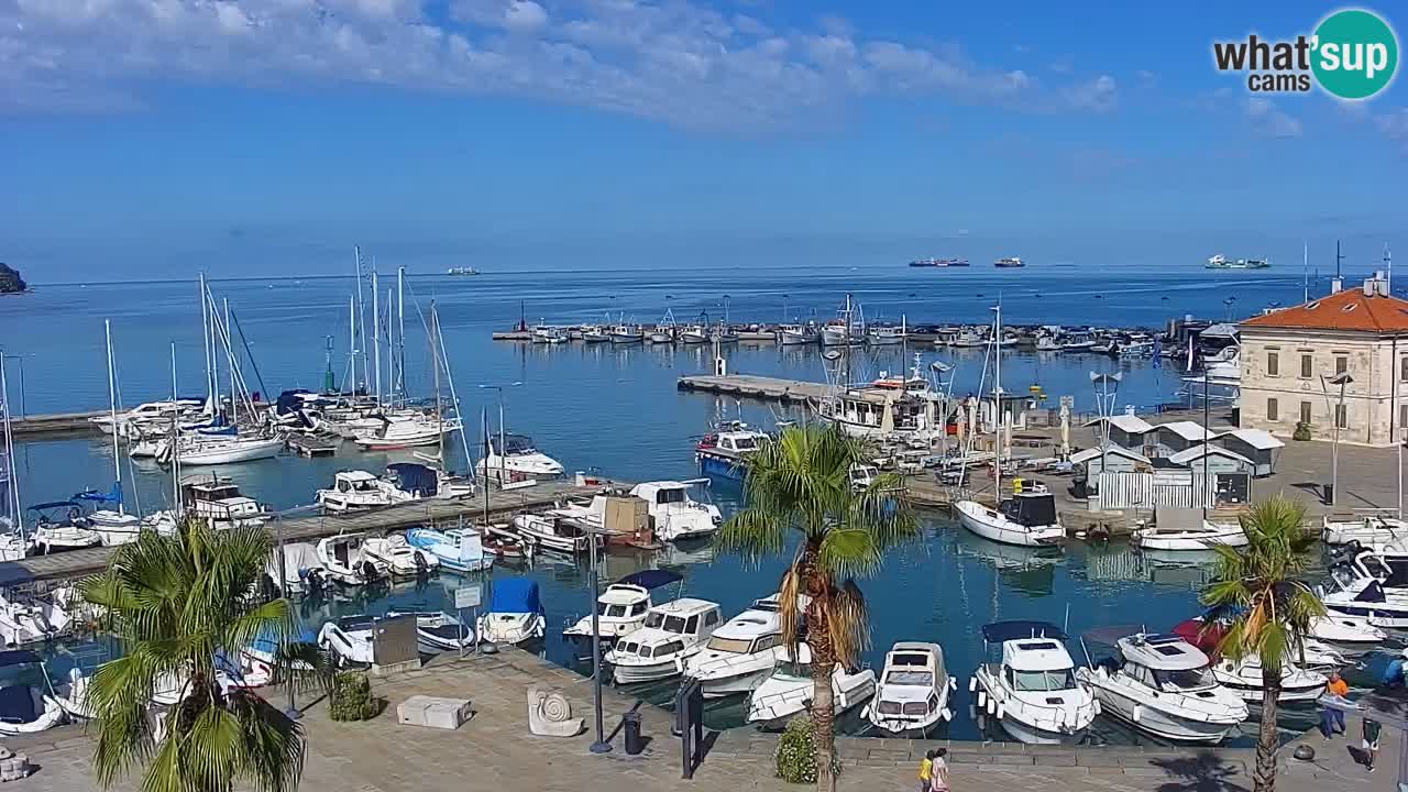 Web kamera Koper – marina i promenada – hotel Grand Koper