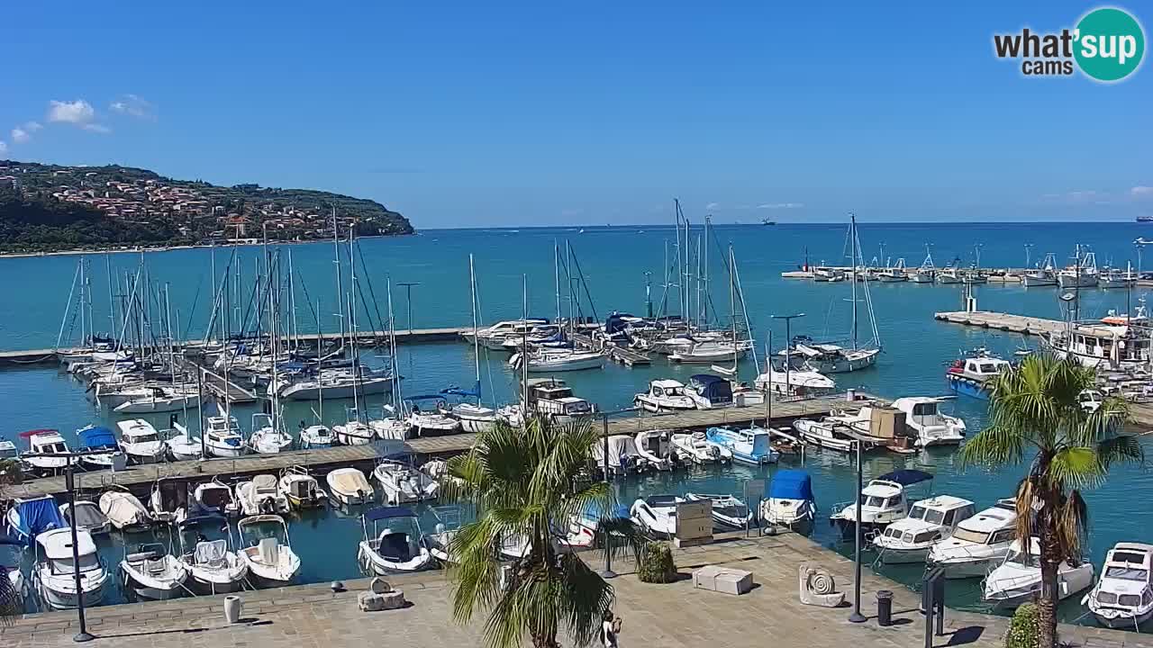 Webcam Koper – Panorama of the marina and promenade from the Grand Hotel Koper