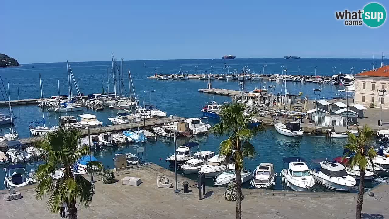 Spletna kamera Koper – Panorama na marino in promenado s Hotela Grand Koper