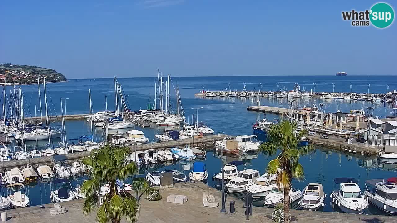 Web kamera Koper – marina i promenada – hotel Grand Koper