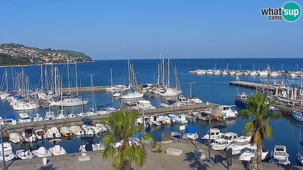 Der Hafen von Koper Live-Webcam – Kreuzfahrt- und Frachthafen – Slowenien