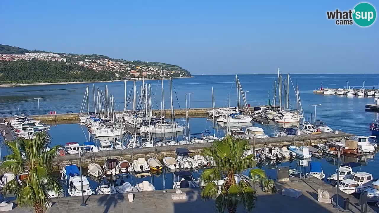 Spletna kamera Koper – Panorama na marino in promenado s Hotela Grand Koper