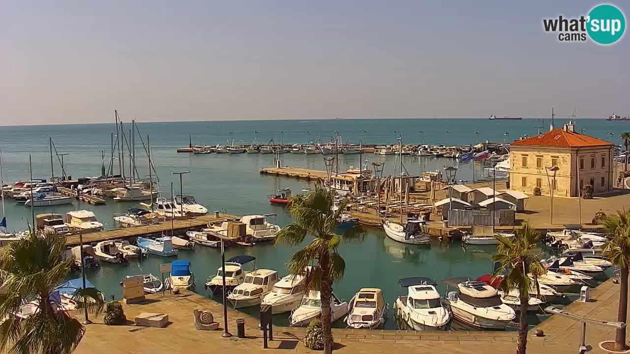 Web kamera Koper – marina i promenada – hotel Grand Koper