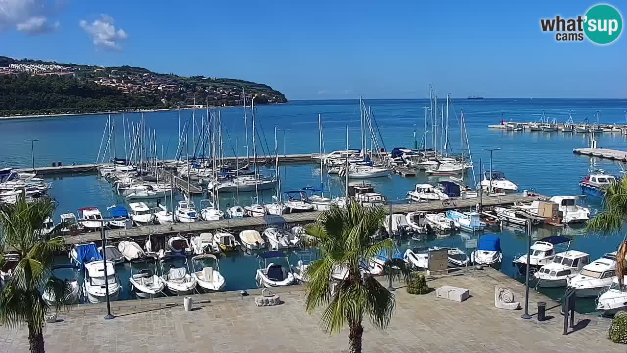 Webcam Capodistria – marina e lungo mare dall’Hotel Grand Koper