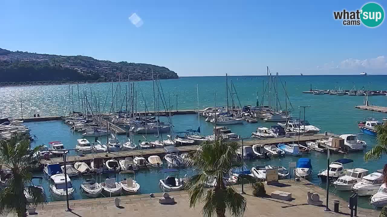 Camera en vivo Koper – puerto deportivo y paseo marítimo desde el Hotel Grand Koper