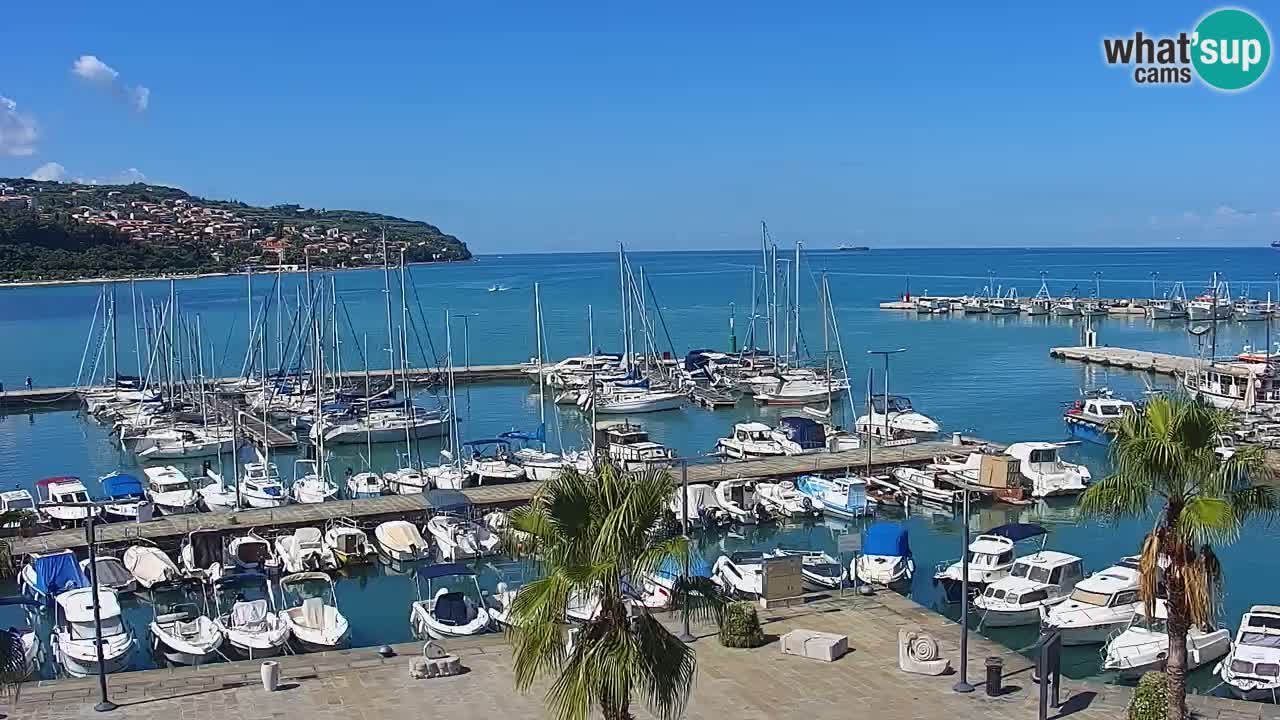Camera en vivo Koper – puerto deportivo y paseo marítimo desde el Hotel Grand Koper