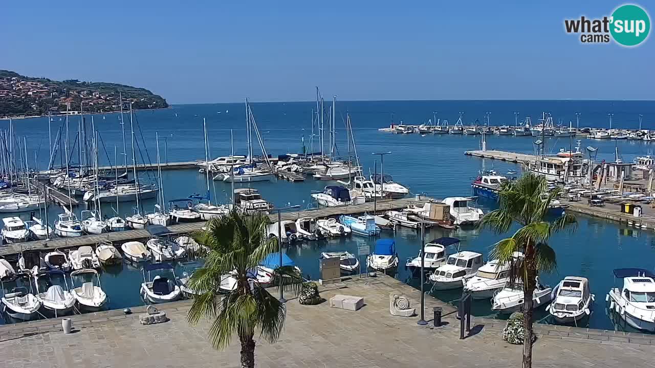 Webcam Koper – Panorama des Jachthafens und der Promenade vom Hotel Grand Koper
