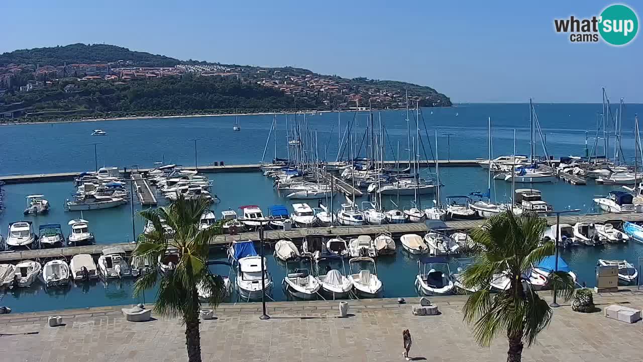 Webcam Koper – Panorama des Jachthafens und der Promenade vom Hotel Grand Koper