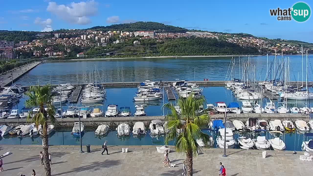 Webcam Koper – Panorama des Jachthafens und der Promenade vom Hotel Grand Koper