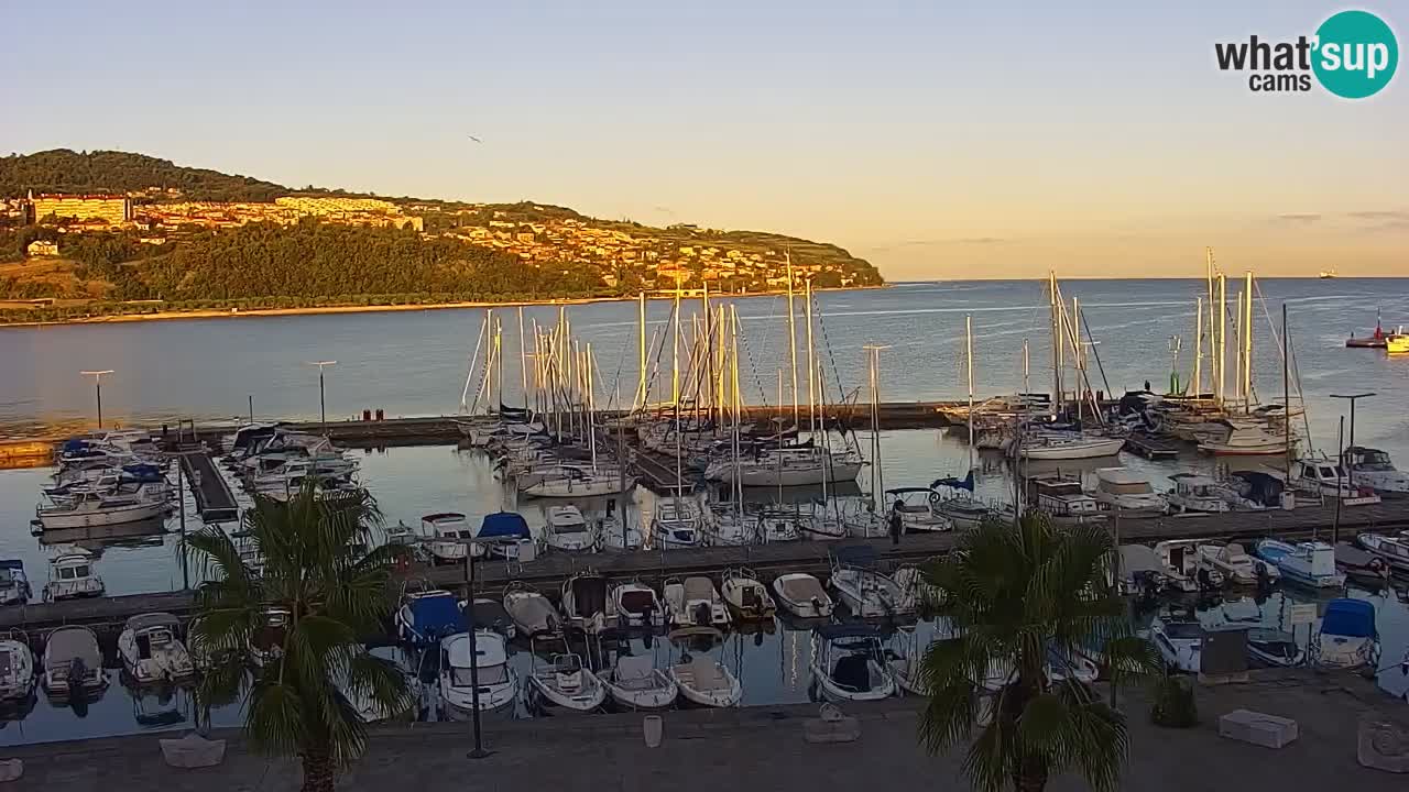 Webcam en direct du port de Koper – port de croisière et de fret – Slovénie