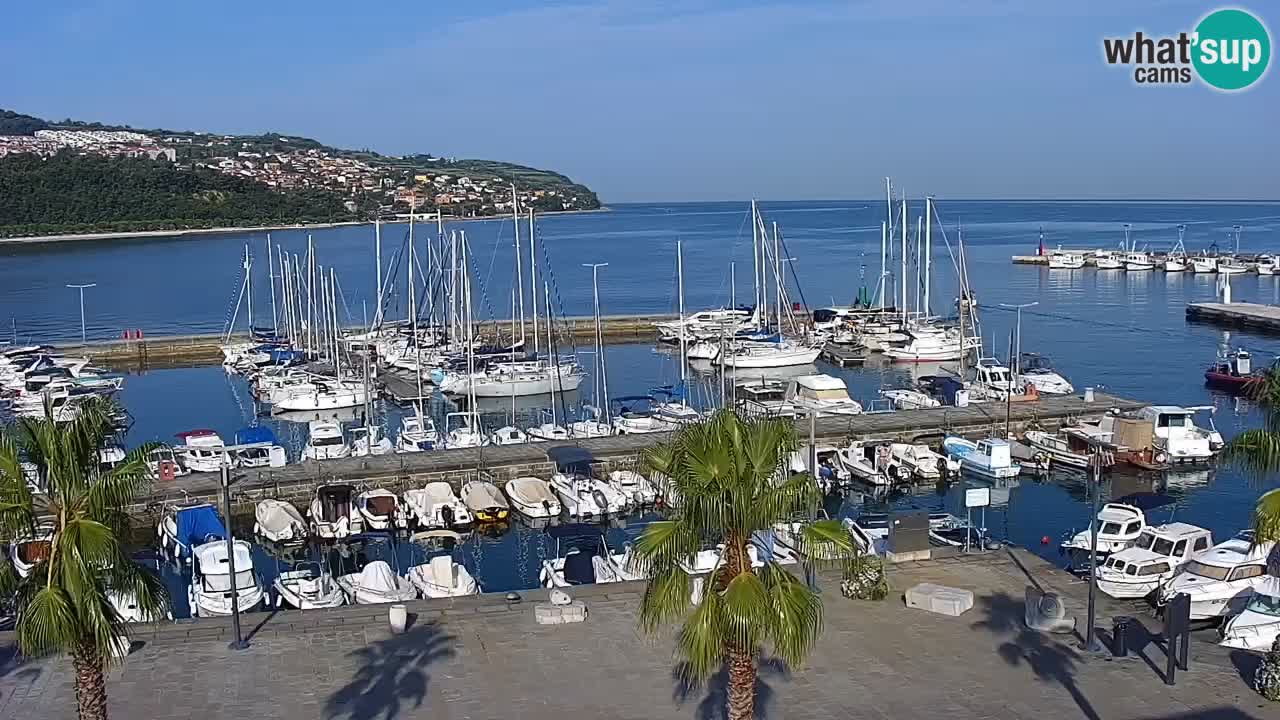 Camera en vivo Koper – puerto deportivo y paseo marítimo desde el Hotel Grand Koper