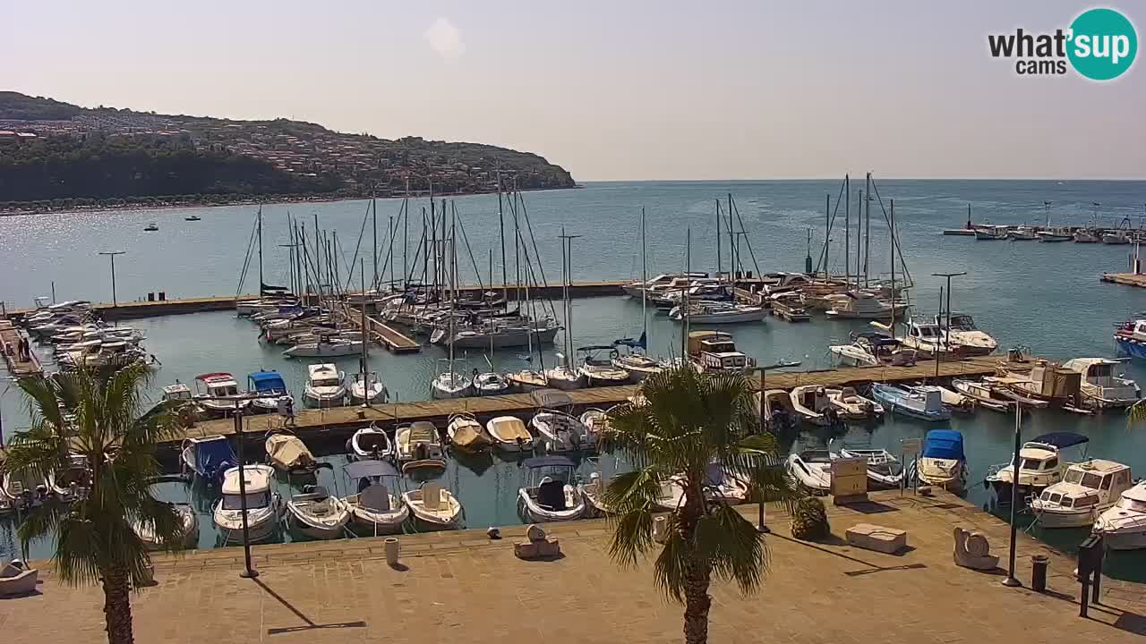 Camera en vivo Koper – puerto deportivo y paseo marítimo desde el Hotel Grand Koper