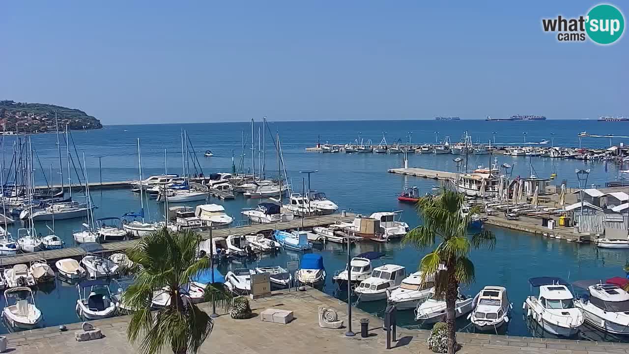 Camera en vivo Koper – puerto deportivo y paseo marítimo desde el Hotel Grand Koper