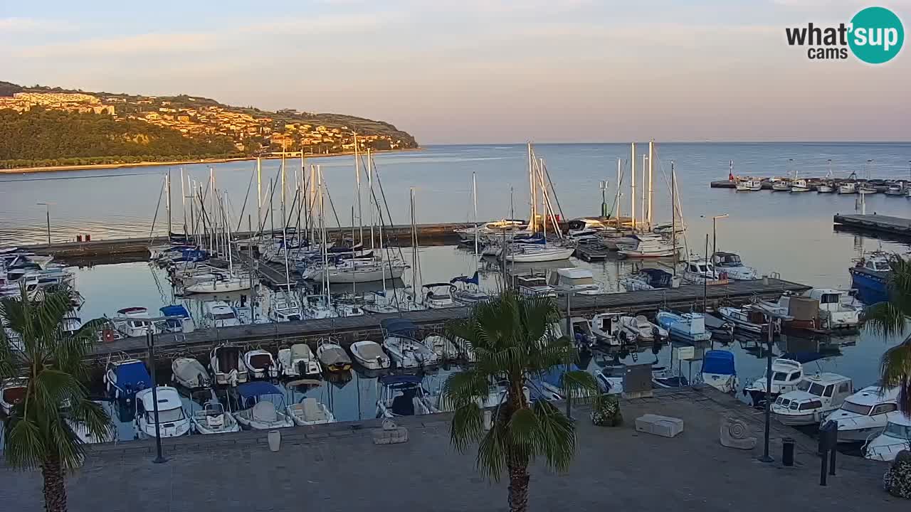 Camera en vivo Koper – puerto deportivo y paseo marítimo desde el Hotel Grand Koper