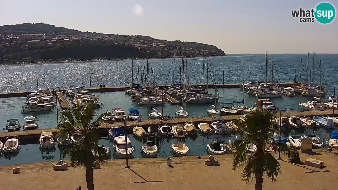 Webcam Koper – Panorama des Jachthafens und der Promenade vom Hotel Grand Koper