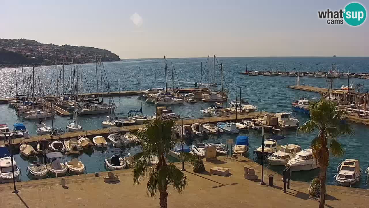 Webcam Koper – Panorama de la marina et de la promenade depuis le Grand Hotel Koper