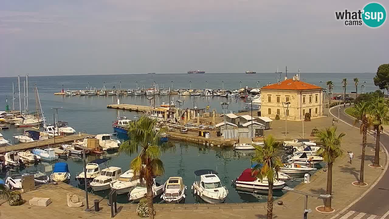 Camera en vivo Koper – puerto deportivo y paseo marítimo desde el Hotel Grand Koper