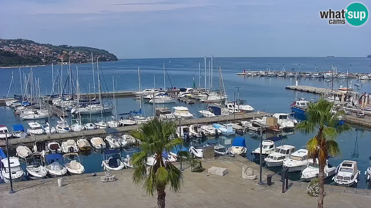 Camera en vivo Koper – puerto deportivo y paseo marítimo desde el Hotel Grand Koper